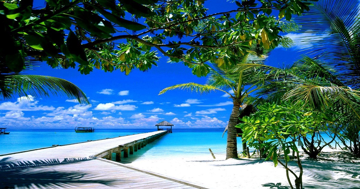 Life Expectancy Dropping Due to Opioid Crisis