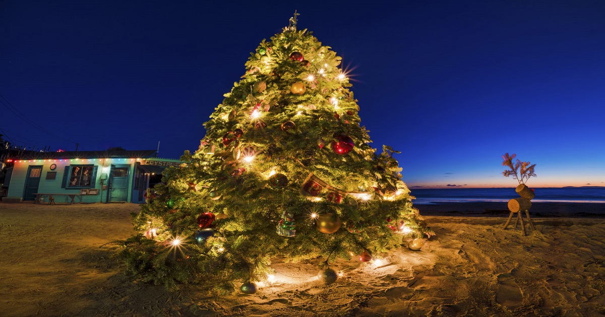 Top 5 Reasons that the Holiday Season is Tough for People with Substance Use Disorder