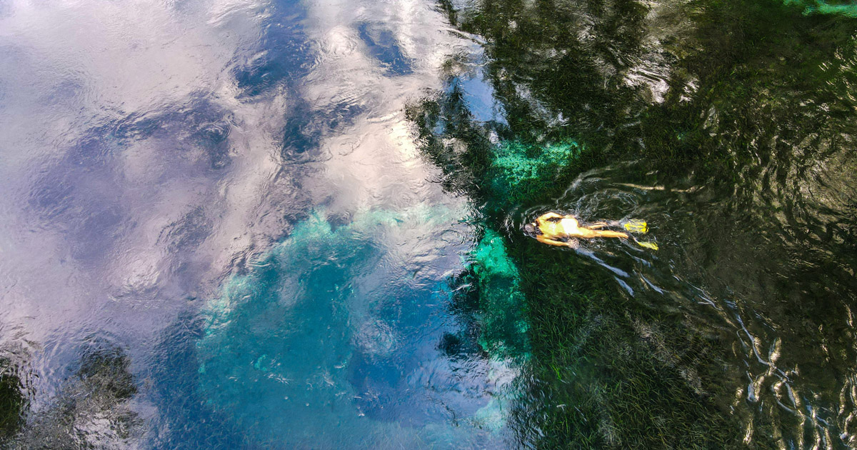 Blue hole spring and Florida Springs in United States.