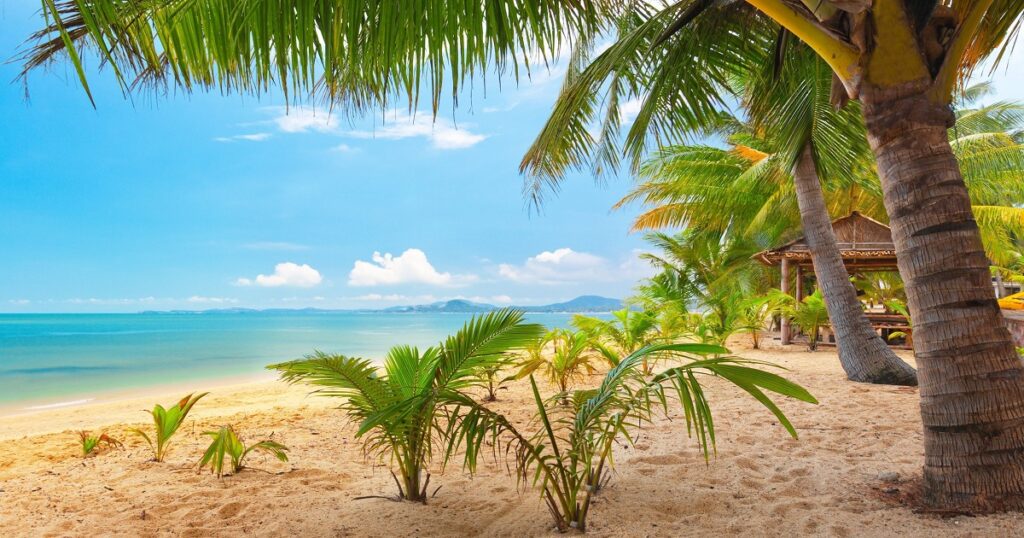 Starting Residential Treatment in January Changes the Year