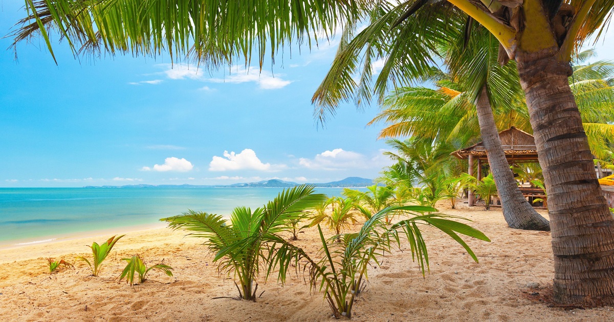 Retraining Reward: Fentanyl Recovery and Mindfulness