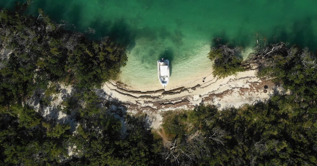 Some People Skip Detox and That’s a Risk