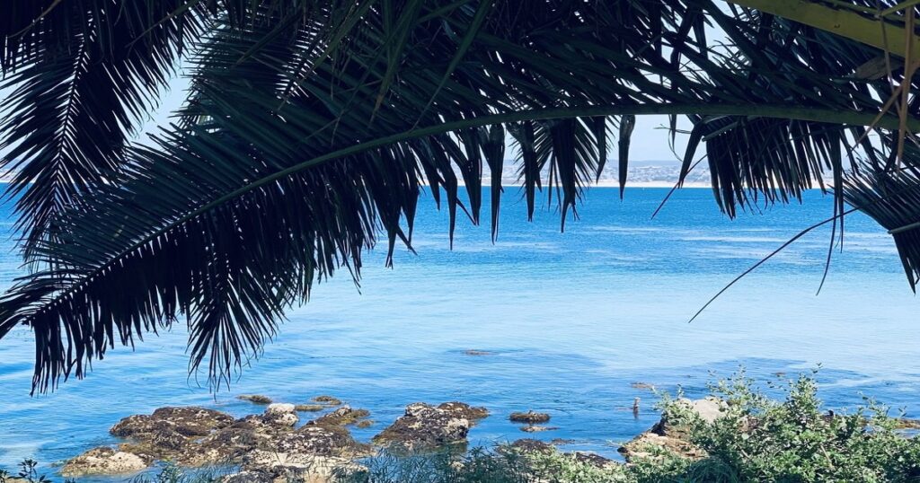 The Alabama Health Coverage Gap: Why Traveling to Panama City is a Financial Lifesaver